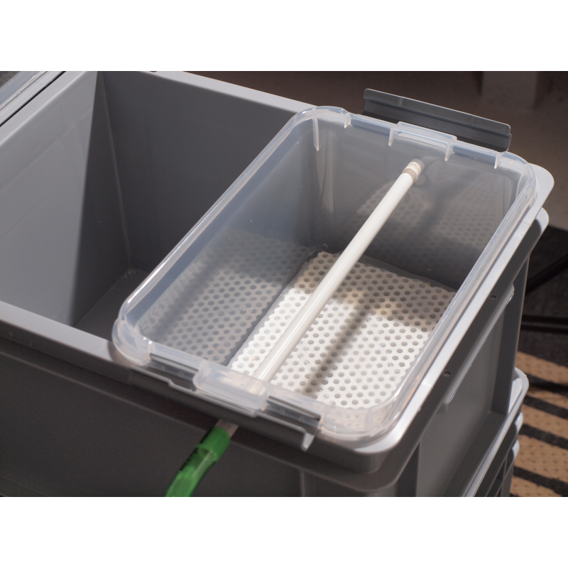 Snail-Farm-in-a-Box Snail-Farm-in-a-Box